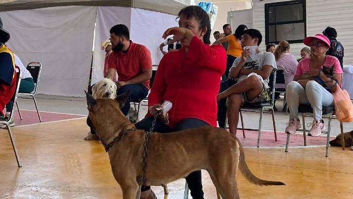 Arrancan brigadas contra la rickettsia en la Laguna