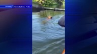 2 Pembroke Pines Police officers paddle to rescue dog in distress using neighbor’s kayak