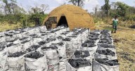 Vaticinan “futuro desierto” en el Chaco por desmonte