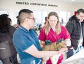 Nueva jornada de adopción responsable de mascotas