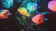 Woodfield Mall adds immersive nature experience Wondra