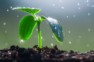 Embracing Second Chances