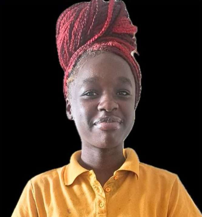Greenville Police Looking For Missing 15