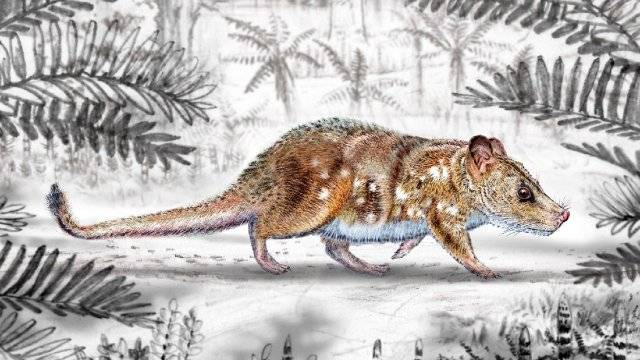 Descubrimiento de mamífero de la era de los dinosaurios releva importancia paleontológica de Magallanes