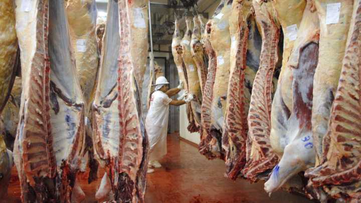 Chile suspendió la importación de carne argentina de la Patagonia y peligran mercados clave para el país