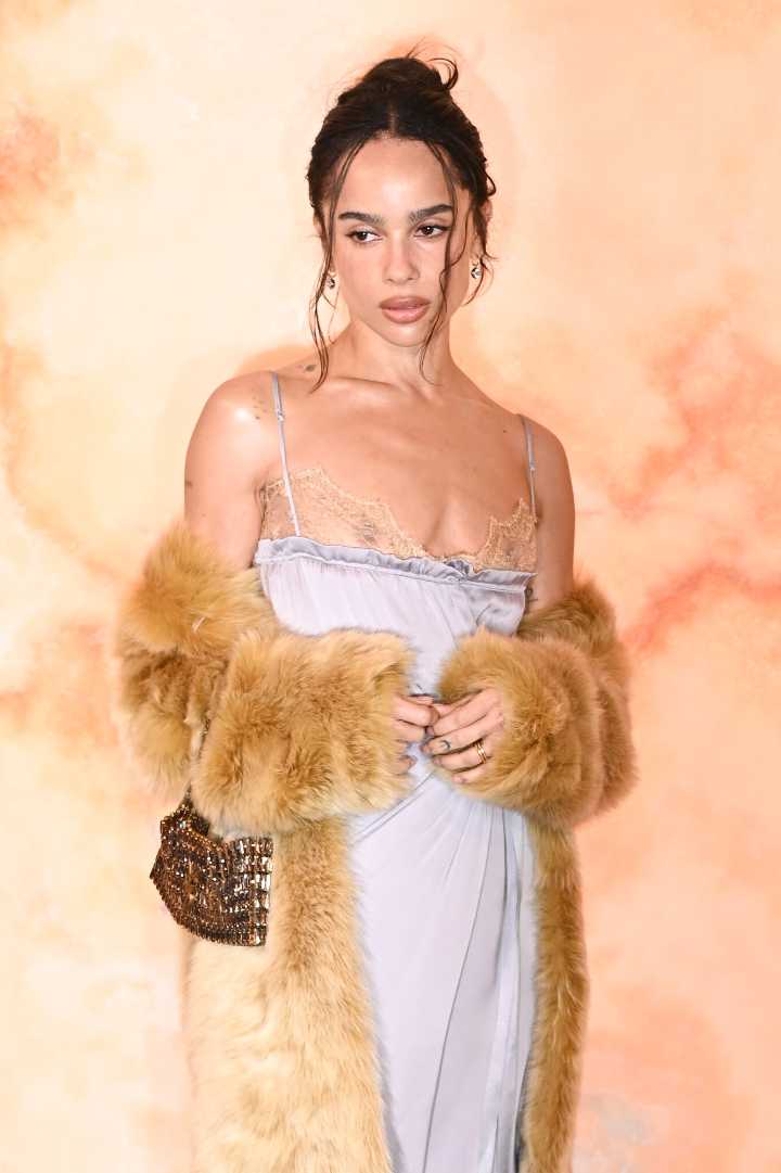 Why Zoe Kravitz and Mom Lisa Bonet 'Destroyed' Taylor Swift's Bathroom