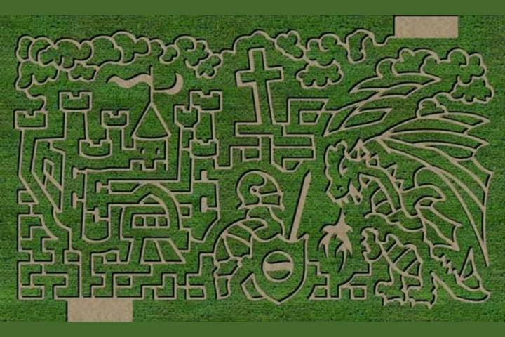 Knights and Dragons Take Over Green Acres Corn Maze