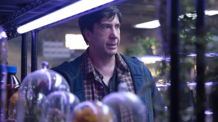 Canceled TV Shows 2025: Which of Your Favorite Series Are Coming to an End?