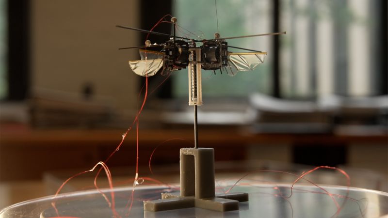 This bumblebee-like robot might one day pollinate plants on Mars