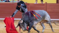 Premio grande al poder de Perera y la entrega de 'Bellotero' de La Quinta en Palencia