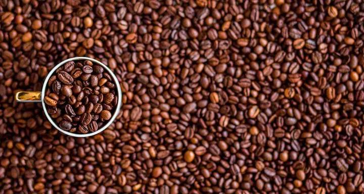 Fedeagro: exportación de café genera $30 millones para el país