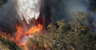 El incendio de La Jarilla entra en la provincia de Salamanca y se encuentra en la cumbre de la Sierra de Candelario