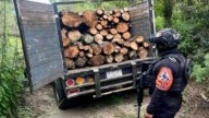 SSP y SSC de Tlaxcala localizan tres hornos clandestinos de madera en La Malinche