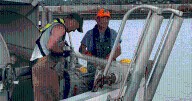 Fraser River sockeye salmon run smashing pre