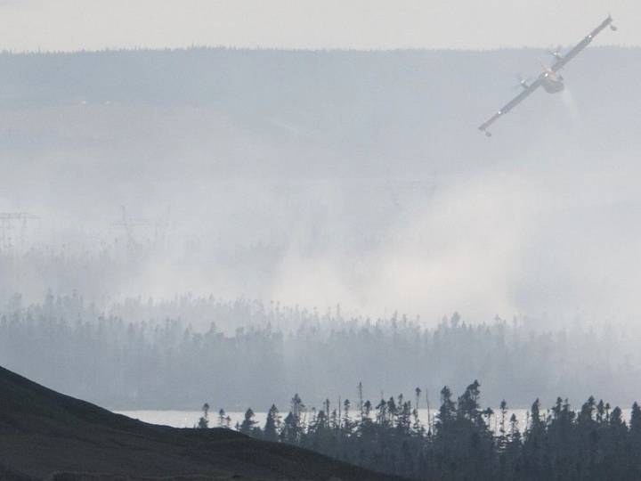 Largest wildfire in Newfoundland, Canada has destroyed up to 100 homes