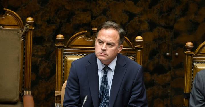 En medio de negociación clave con Chile Vamos: Walker acusa a la UDI de usar el caso de Calisto como “un chivo expiatorio”