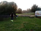El Ayuntamiento asegura que el Tamarguillo tenía un mantenimiento adecuado pese a la muerte de los gansos