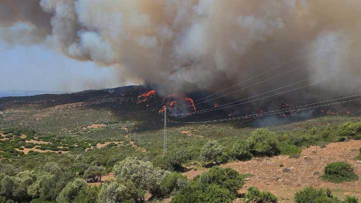 Las imágenes del fuego en Tarifa