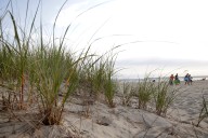 Mass. beach closures: 40 beaches closed on Sunday, Aug. 10