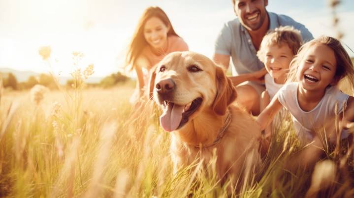 No es casualidad: por qué los golden retrievers son considerados los perros más empáticos