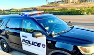 Police arrest carjacking suspect after crash into tree in Carlsbad