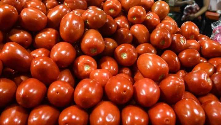 México fija precios mínimos a exportación de jitomates a EU tras arancel por antidumping