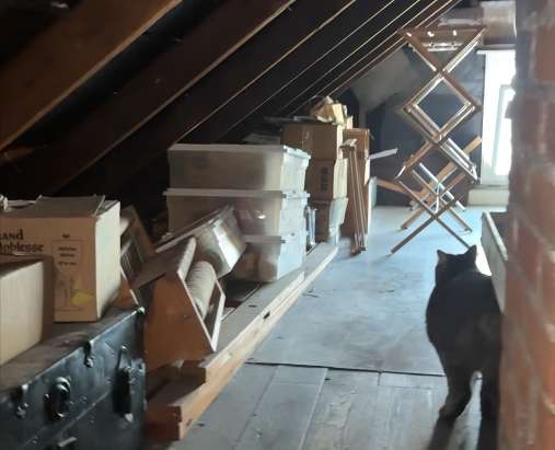 Curious Louisville: Did a German spy really live in my house?