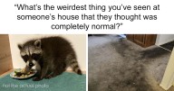 23 People Reveal Home Visits That Left Them Wondering If They Were On A Hidden Camera Show