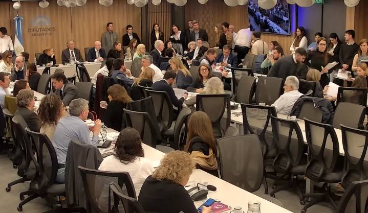 $Libra: la oposición dio un paso clave en Diputados para el funcionamiento de la comisión investigadora