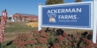 Morton pumpkin farm closing to the public, citing costs