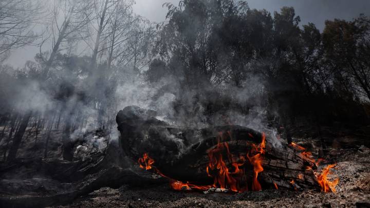 La AEMET alerta de tormentas secas en próximos días, que hacen que el fuego se origine y se propague en poco tiempo