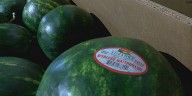 Program connects Michigan seniors with fresh produce from farmers markets