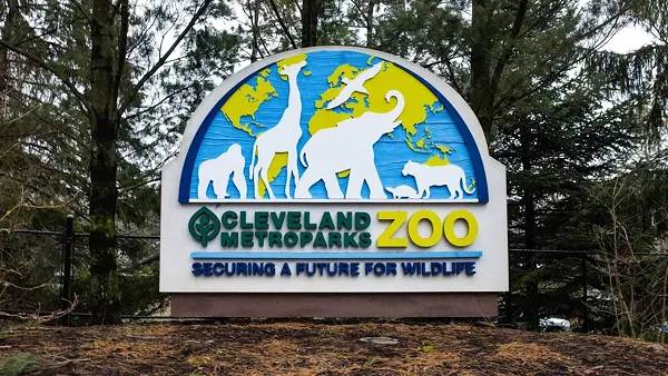 My Review of That One Gorilla at the Cleveland Zoo