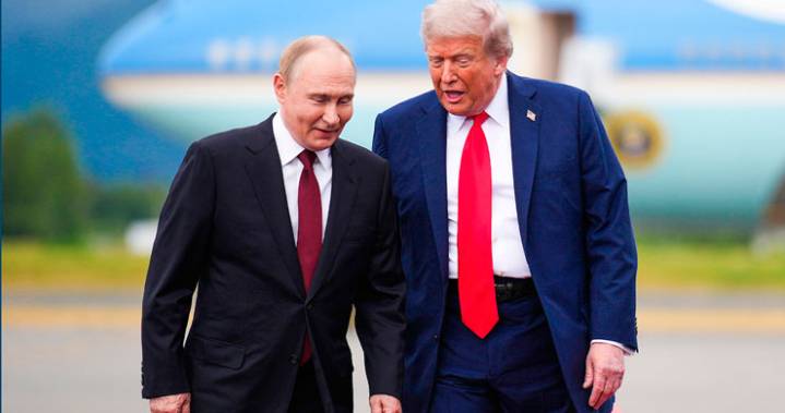 Trump anuncia «grandes avances» en relación con Rusia y pide «estar atentos»