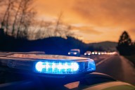 Boy, 8, Dies After Being Attacked by Family Dog While Under Sister's Supervision