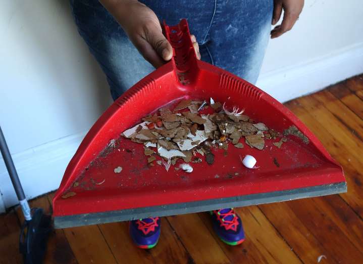 Onondaga County offers free lead testing for children this week