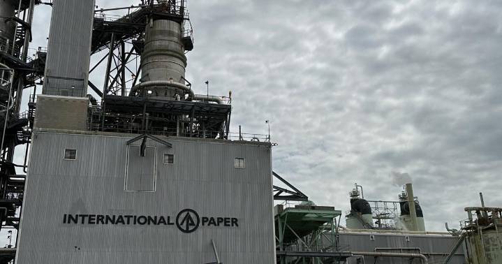 AIP to acquire International Paper's Global Cellulose Fibers division