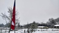 Emiten aviso por probables nevadas entre las regiones de Coquimbo y Biobío: ¿Cuándo será?