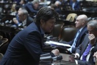 Lisandro Almirón: «Están aprovechándose de la causa noble de la discapacidad»