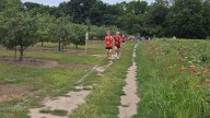 Hanover-Horton gets boys team win, girls individual win to open cross country season