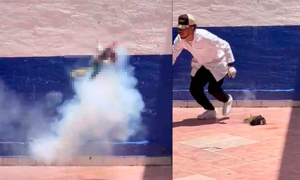 ESTUDIANTES DE CRIMINOLOGÍA HACEN EXPLOTAR A GATO EN GUANAJUATO