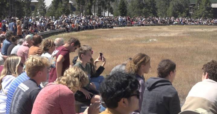 Yellowstone National Park is on pace for record visitation this year