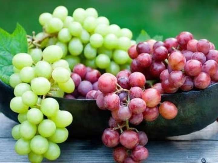 Uva antioxidante: Las vigorizantes propiedades curativas para la salud cardiovascular y una juventud duradera