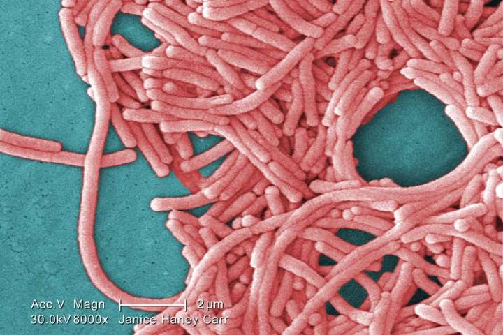 Legionnaires' disease outbreak in London, Ont., declared over: health unit