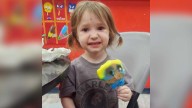 AMBER Alert issued for missing 3-year-old girl last seen in San Antonio