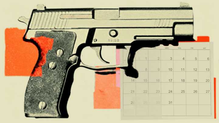 Court Kills California's One-Gun
