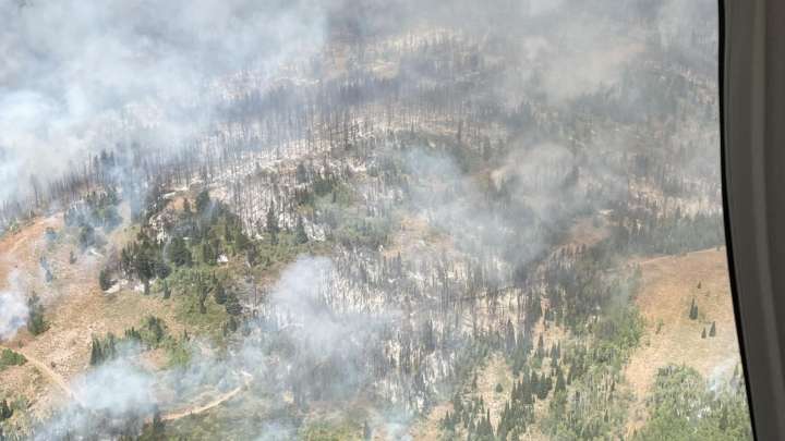 Willow Creek Fire 12% contained; Dollar Lake Fire grows to 13,449 acres