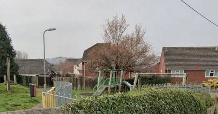 Dog bites off 'infant's' fingertip as mum and child left 'severely distressed'