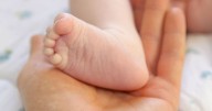 The West Midlands is the UK's most fertile place