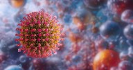 Utah measles: 2 more cases in Washington County